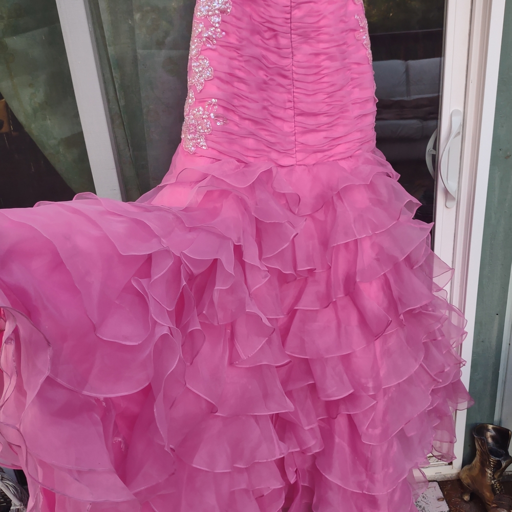 Pink Ruffled Ball Gown - Picture 5 of 10